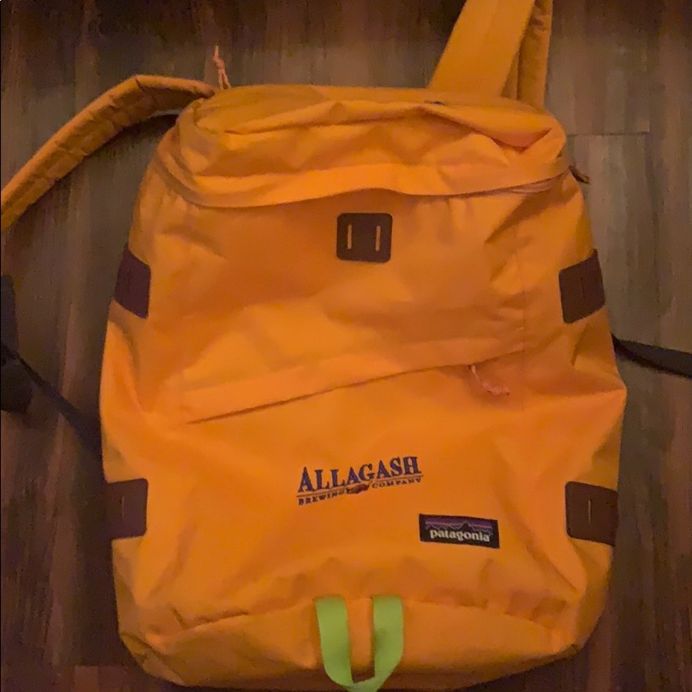 Patagonia Backpack